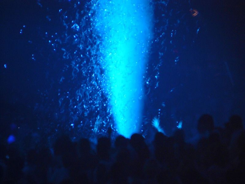 SENSATION WHITE (NL) - Sobota 5. 7. 2008